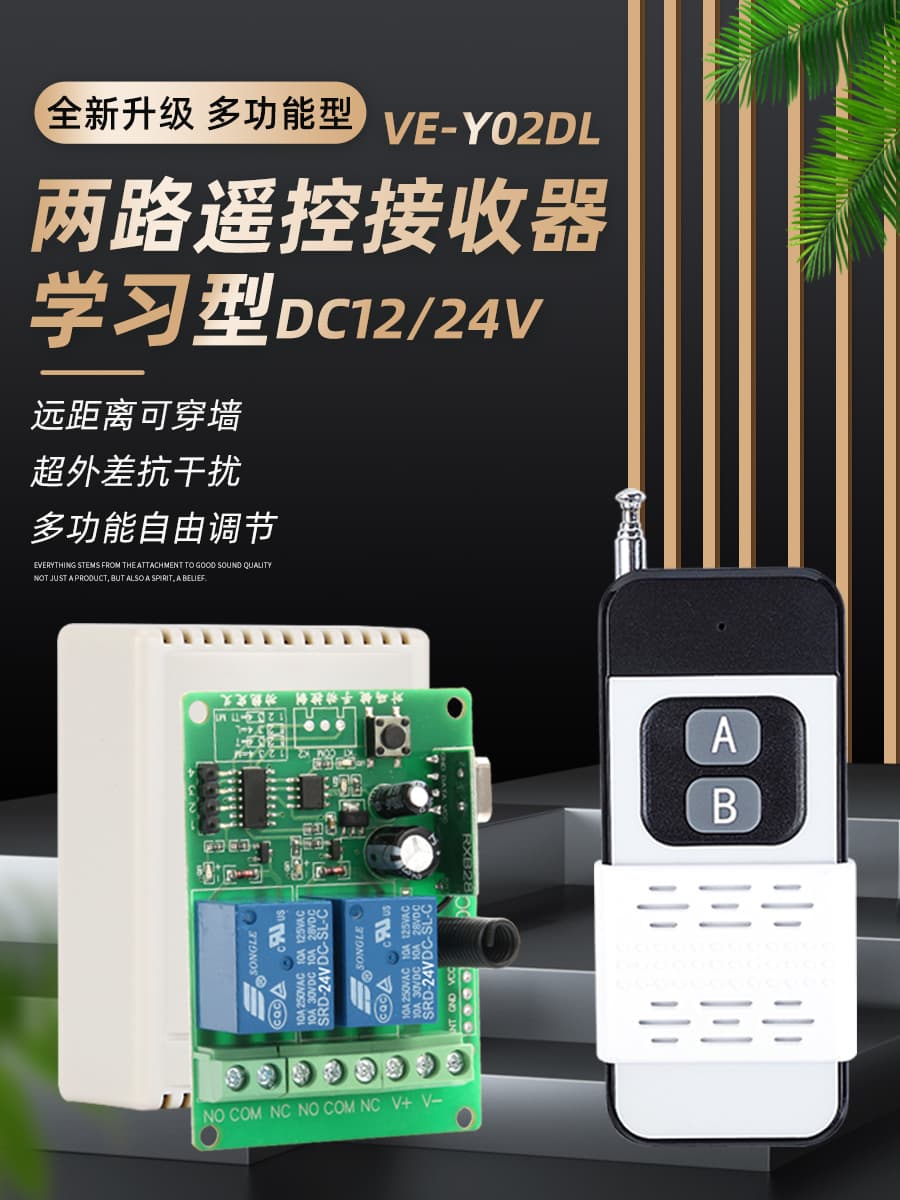 Wireless Remote Control Switch Door Access Remote 12V Dual Channel Switch Light Motor Electric Door Remote Learning Type