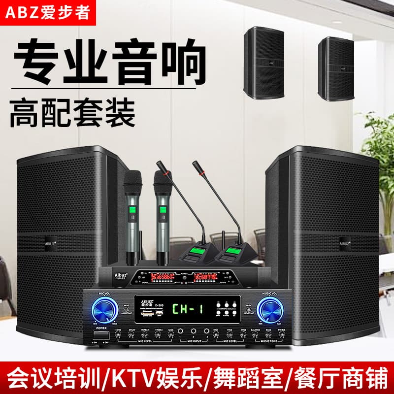 Conference Room Audio System for KTV, Commercial Venues, Restaurant Dance Studio Wall-Mounted Speakers, Speech Training, Hotel Audio