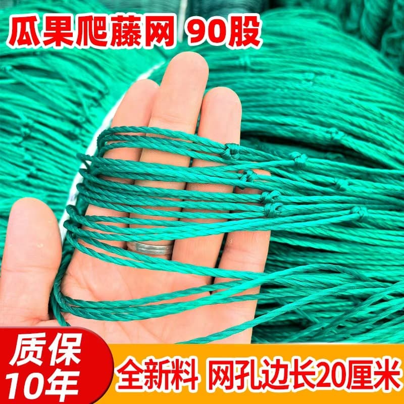 90-strand Climbing Net for Passion Fruit, Grape, Chrysanthemum, Planting, Greenhouse, Bean, Melon