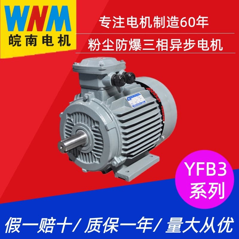 Wannan YXVF series frequency conversion speed regulation three-phase asynchronous motor 0.18~375kW IP55 stepless speed regulation