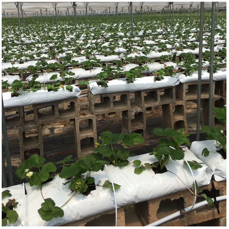 In Stock Long Tomato Planting Bag, Horizontal Planting, Soilless Cultivation Substrate Strip, Cooling and Anti-Aging, Wholesale Price