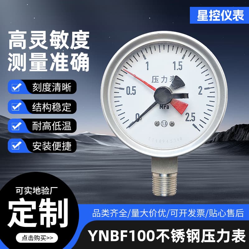 YNBF100 Stainless Steel Pressure Gauge, Anti-Vibration Pointer Full Steel Pressure Gauge