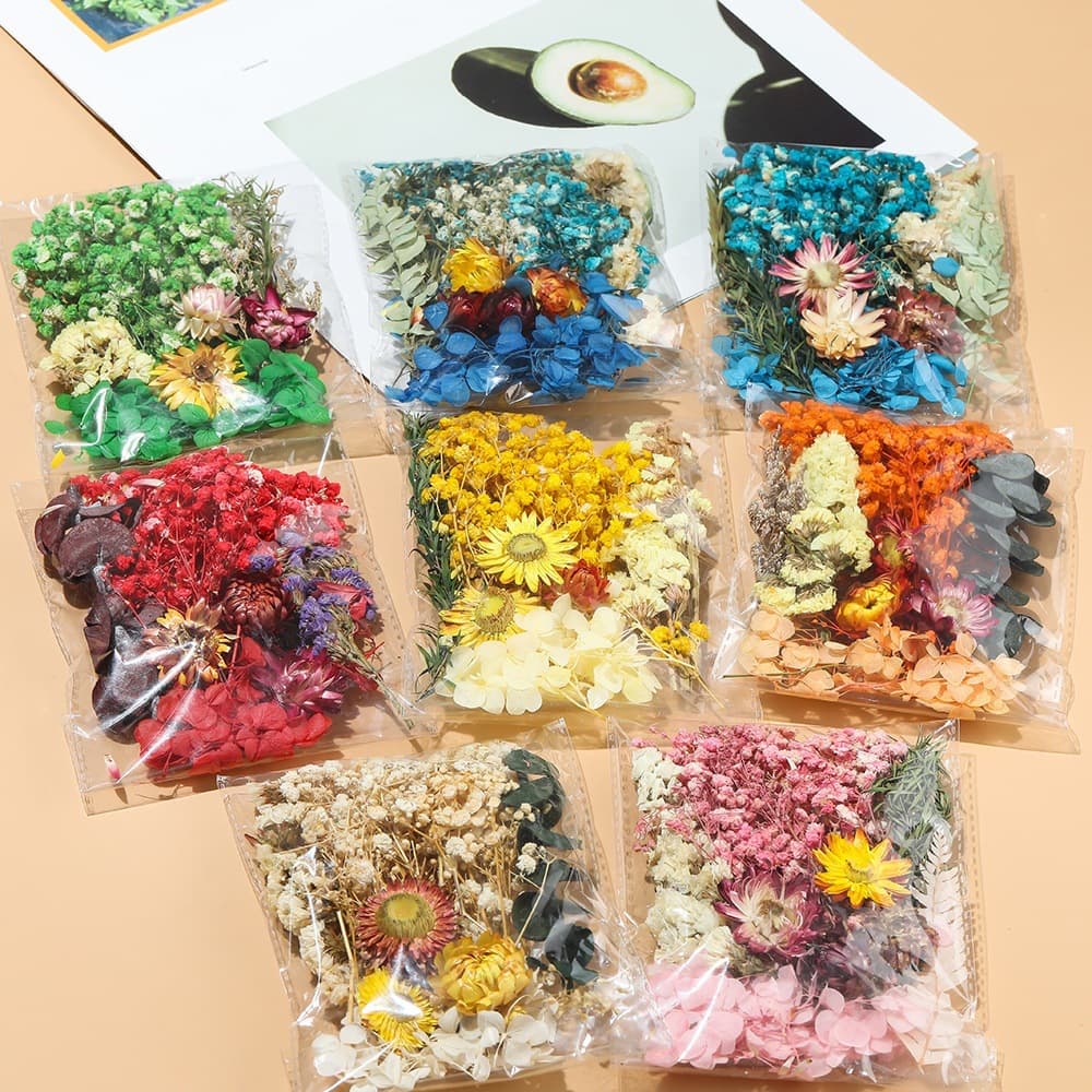 Wholesale Preserved Dried Flower DIY Material Kit for Scented Candles, Greeting Cards, Photo Frames, Round Fans - Random Dried Flower DIY Materials