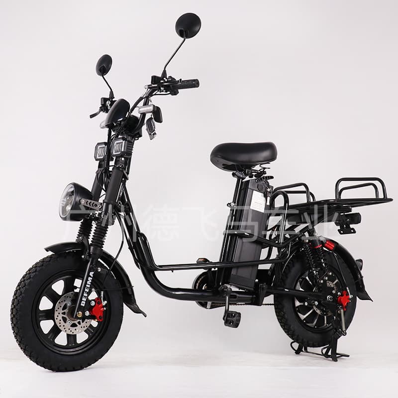 16-inch Electric Bike All-Season/Winter Tire Cargo Electric Bike Delivery E-Bike