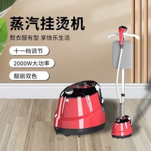 Factory Direct Supply Upright Electric Iron Commercial Steam Garment Steamer Home Ironing Machine European Standard Foreign Trade Wholesale