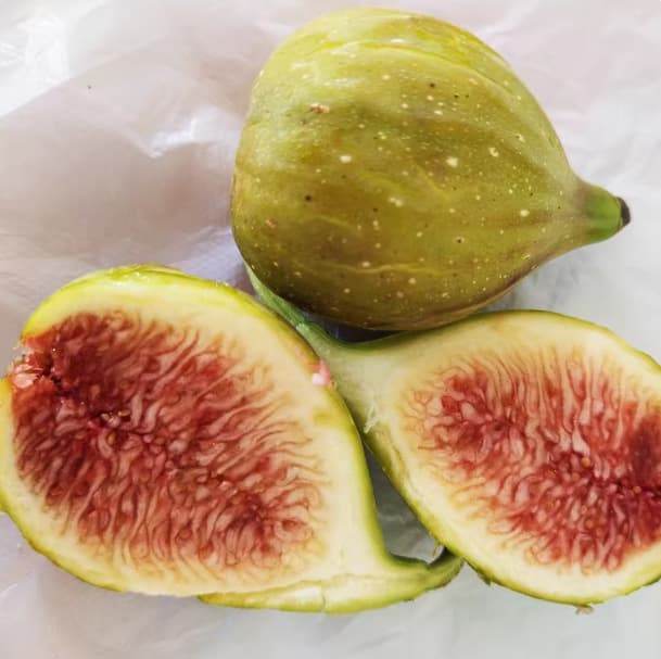 Fig Seedlings: Boji Red, Grace, Honey Peach Flavor, Banana, Stella Fruit Seedlings, Balcony Potted Strawberry Flavor