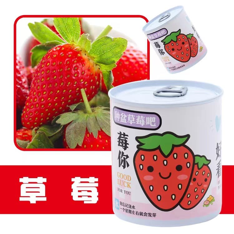 Easy-To-Grow Can-Shaped Potted Plants for Indoor Desktop, Mini Green Plants, Children's Day Gift, Planting Cans for Observation and Educational Planting