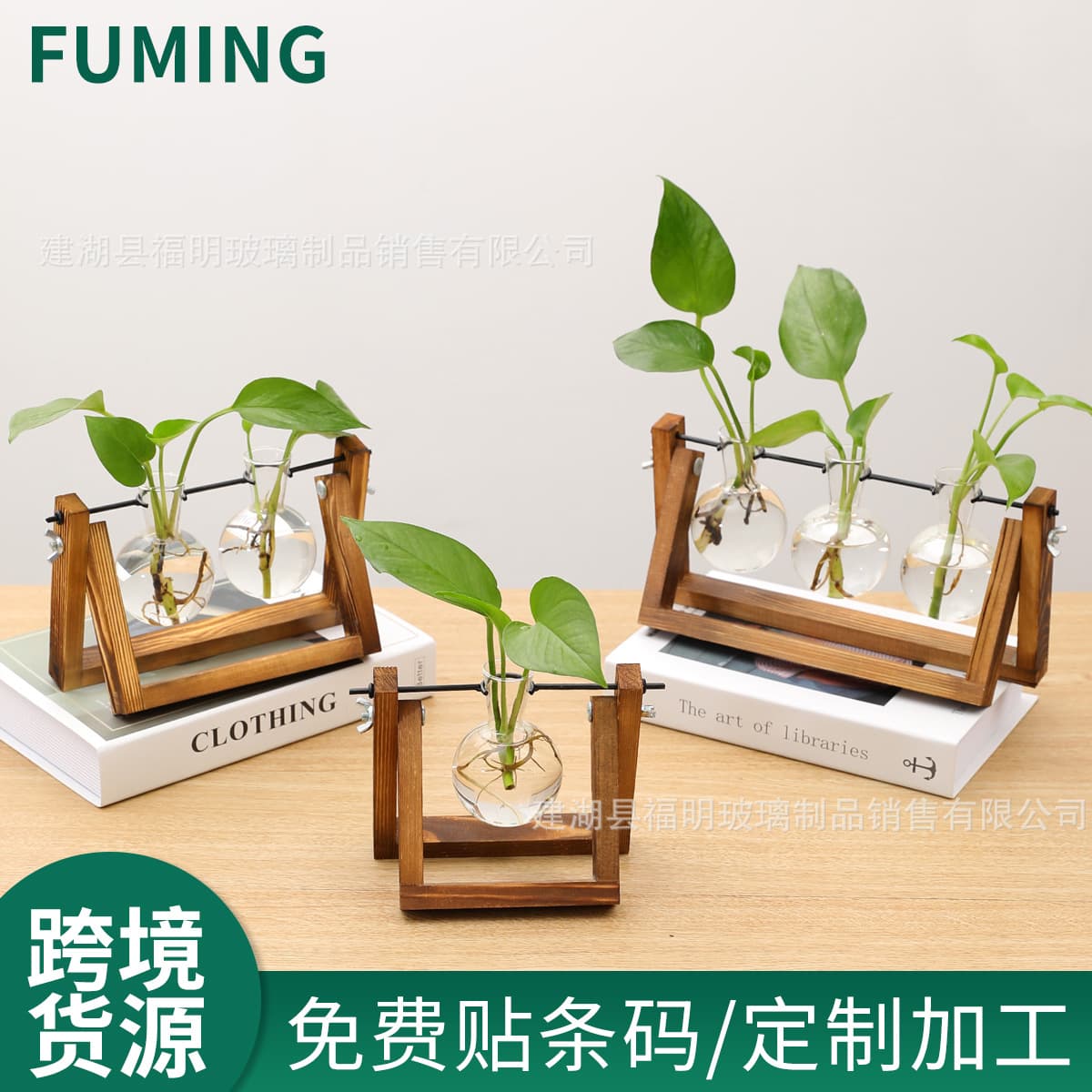 Ins-style Glass Hydroponic Pothos Vase, Soft Decoration Dried Flower Home Decor, Office Desktop Ornament