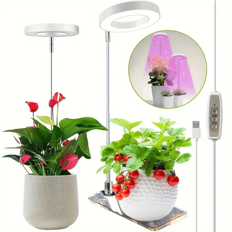 Cross-border Angel Ring Succulent LED Full Spectrum Plant Growth Light with Indoor Circulation and Quantum Board