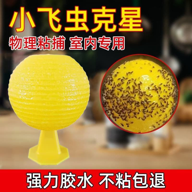 Fruit Fly Trap - Indoor Flying Insect Killer for Mosquitoes and Gnats, Kitchen Midge Sticky Ball Trap for Flies