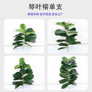 Cross-Border Artificial Greenery Fiddle Leaf Fig Single Stem Indoor Home Decoration Flower Arrangement Ornament Photography Prop Fake Plant Landscape