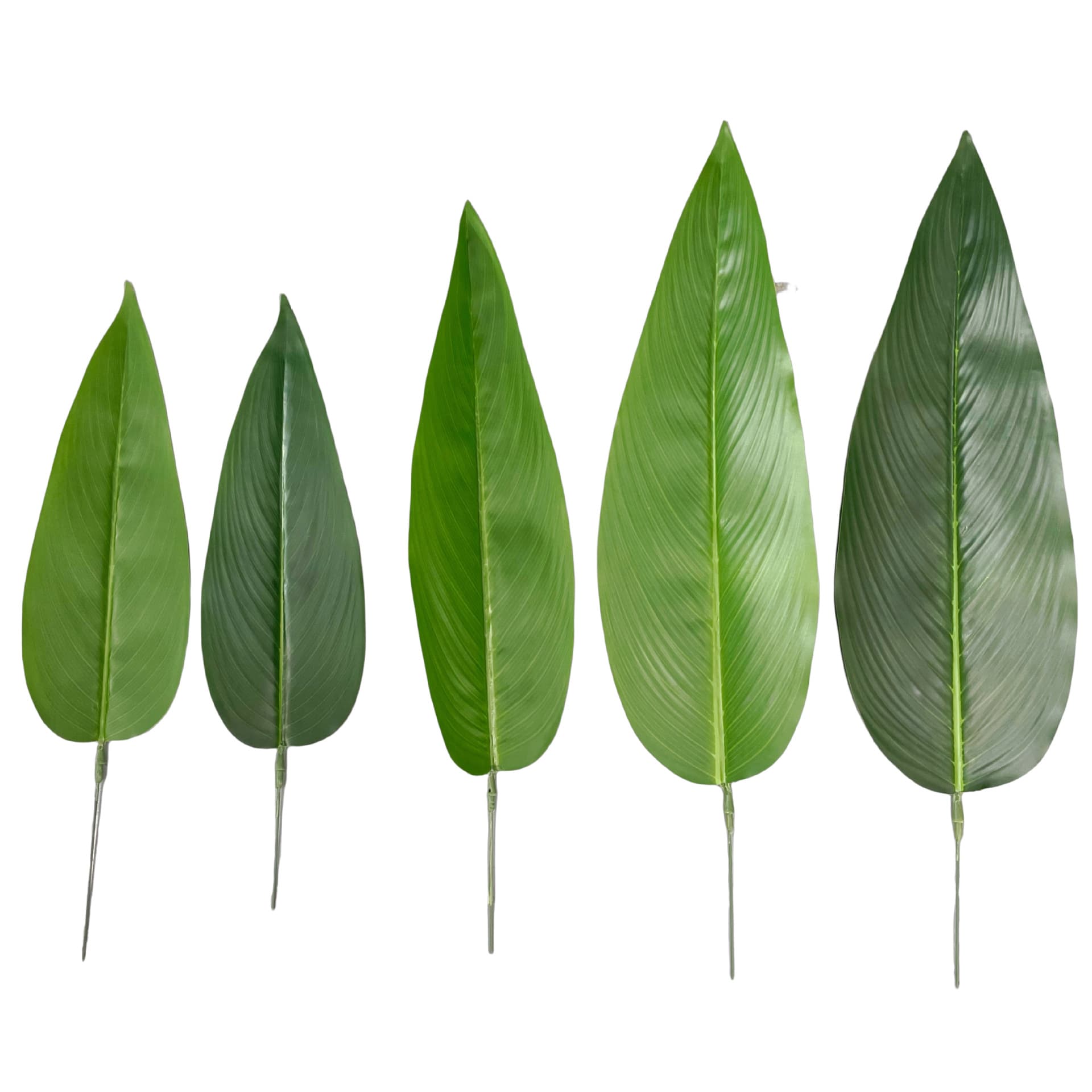 Simulated Leaves Little Traveler Banana Leaf Wedding Flower Arrangement Accessories Balloon Party Decoration Fake Leaves Manufacturer Wholesale Canna