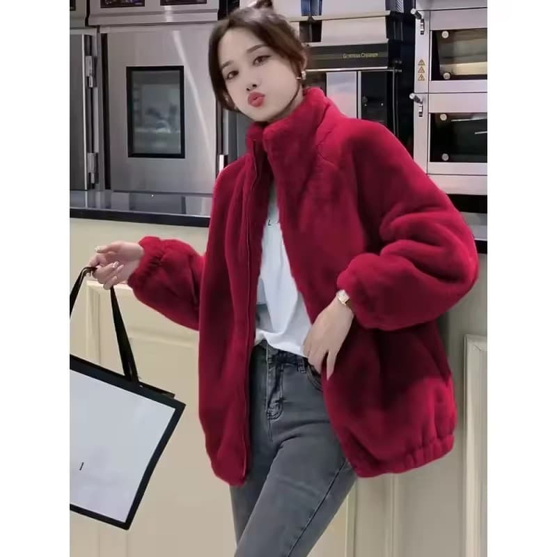 Women's Coral Fleece Jacket High Neck Zipper Warm Double-sided Fleece Hoodie Cardigan Plus Size Casual Street Style