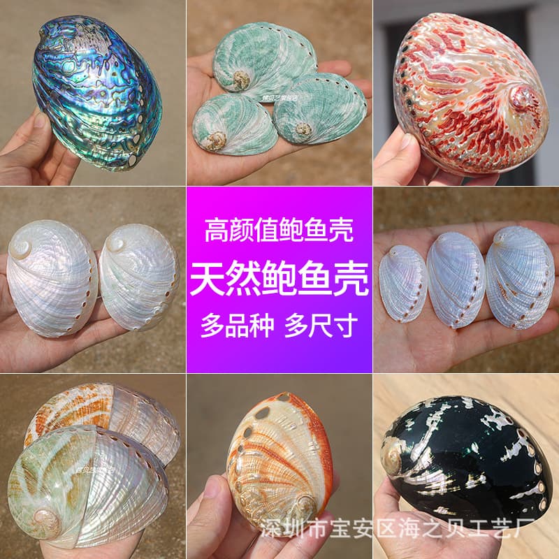 Wholesale natural abalone shell series polished New Zealand black gold abalone home decoration ornaments with burnt sage utensils