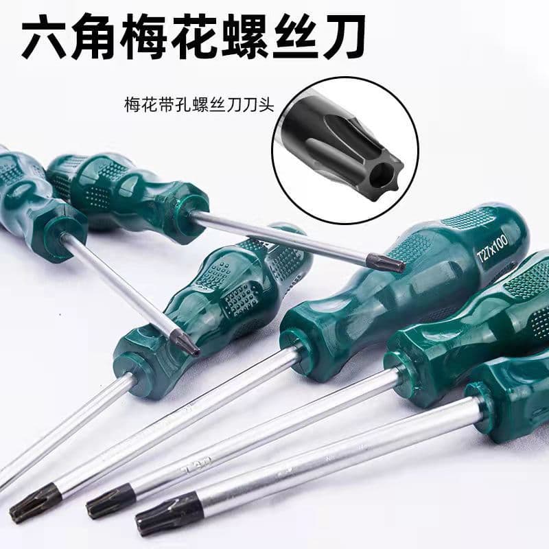 Green T20 Torx screwdriver, T8 Phillips, T10 hex, T25, T15 hex socket, T30, T40.