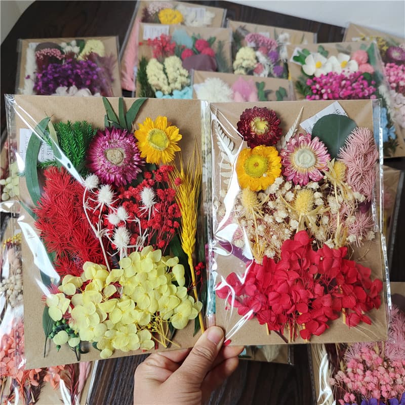 A5 Pressed Flower Material Kit DIY Scented Candle Photo Frame Dried Flowers Eternal Flower Fan Floating Flower Eternal Flower Craft