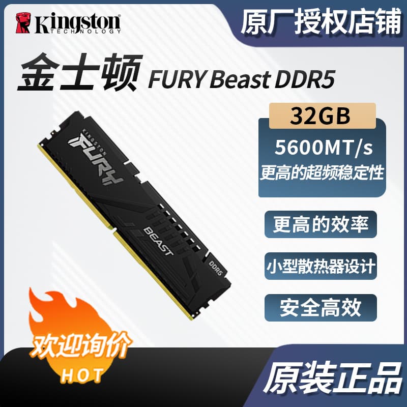 Compatible with Kingston FURY Beast DDR5 32GB 5600 Desktop Memory