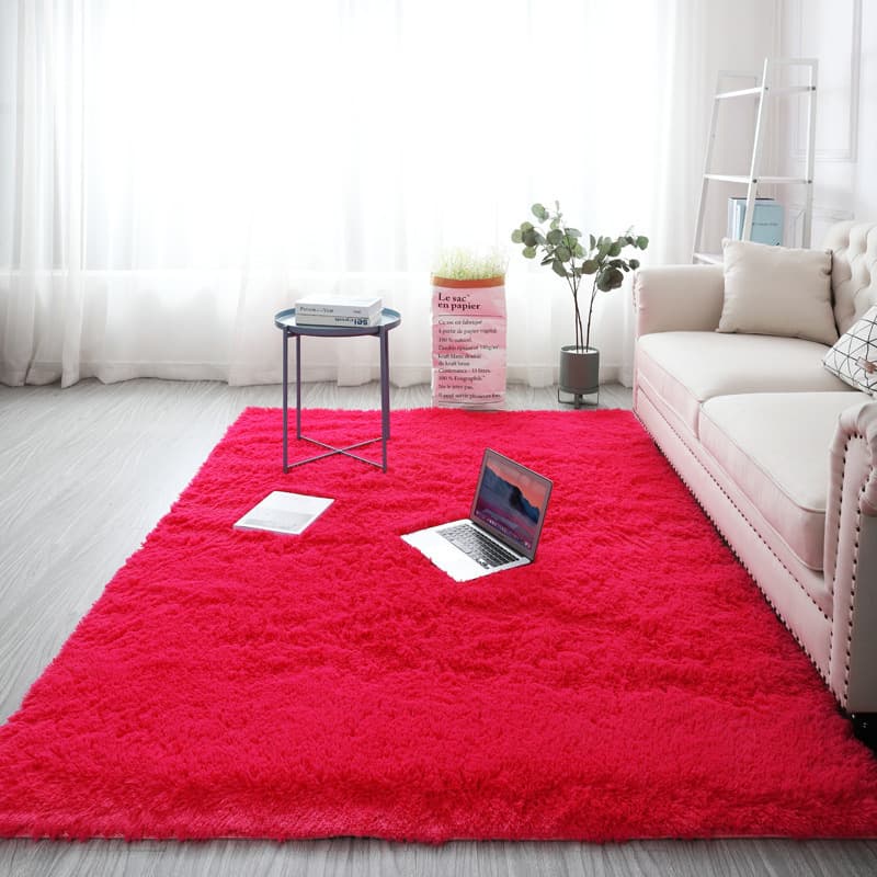 Rug for Bedroom Ins Style Bedside Rug Premium Feel Room Plush Rug Home Living Room Tatami Floor Mat Bay Window Rug