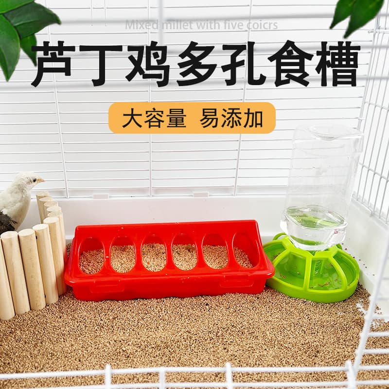 Small Automatic Waterer Feeder For Chicks Quails Vitamin C Supplement Chicken Feeding Trough Poultry Automatic Feeder