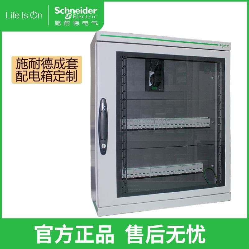 Schneider Prisma iPM Distribution Cabinet Luxury Villa Distribution Box Large Circuit Distribution Box