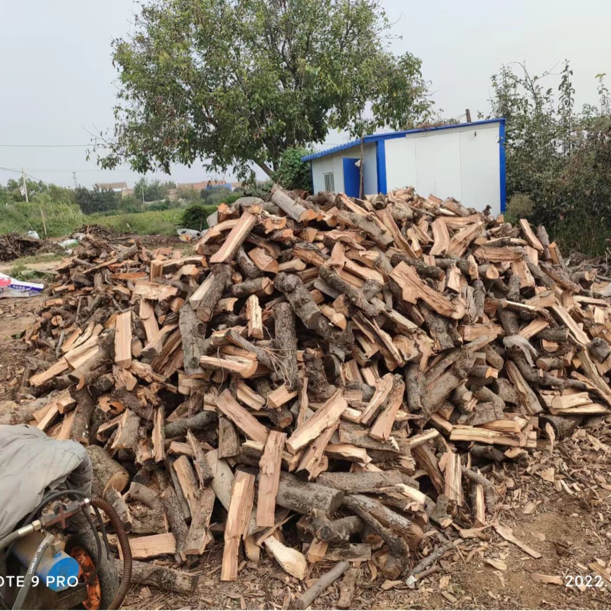 Firewood for Stove: Apple Wood, Jujube Wood, Split Wood for Barbecue, Campfire, and Fireplace