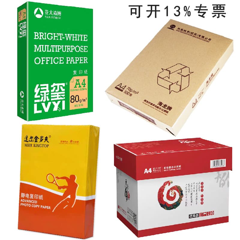 Nine Dragons Paper Sea Dragon copy paper 70/80g printing A4 copy paper A4 paper full 500 sheets nationwide bulk free shipping