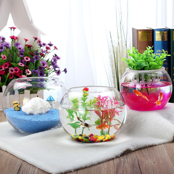 Large glass hydroponic plant flowerpot office desktop water culture green basket copper money vase round transparent fish tank
