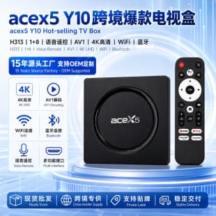 Allwinner H313 Southeast Asia Latin America Acex5 Y10 1G+8G WiFi Voice Remote Network TV Box