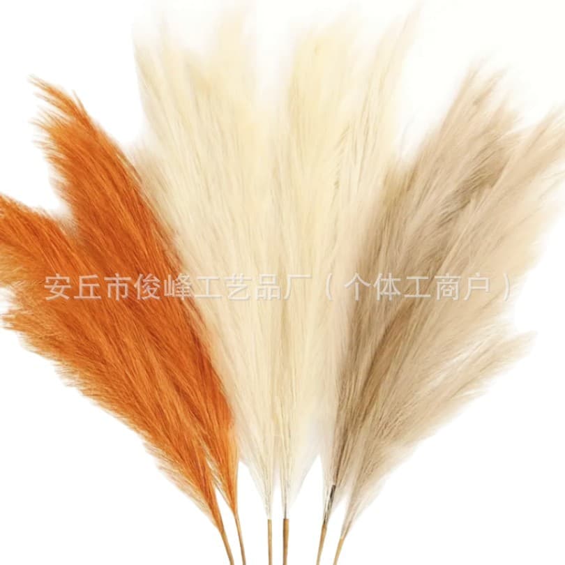 Artificial Reed 55cm Cross-border Wedding Decoration Firework Pampas Grass Foxtail Grass Bouquet Faux Reed