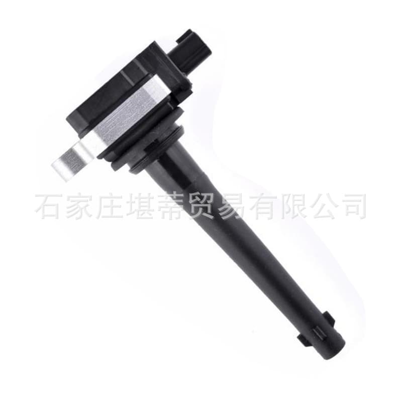 Delphi Ignition Coil Compatible with Nissan NV200, Junyi, Livina, X-Trail, Tiida, Teana, Qashqai, Sylphy