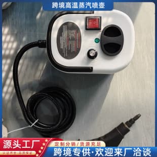 Cross-border High Pressure High Temperature Steam Cleaner Automatic Cleaning Small Household Air Conditioner Oven Multifunctional Cleaner