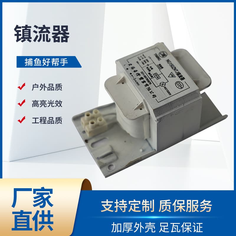 Manufacturer Stock Ballast, Metal Halide Lamp Ballast, High-Pressure Sodium Lamp Ballast, Ample Supply for Wholesale