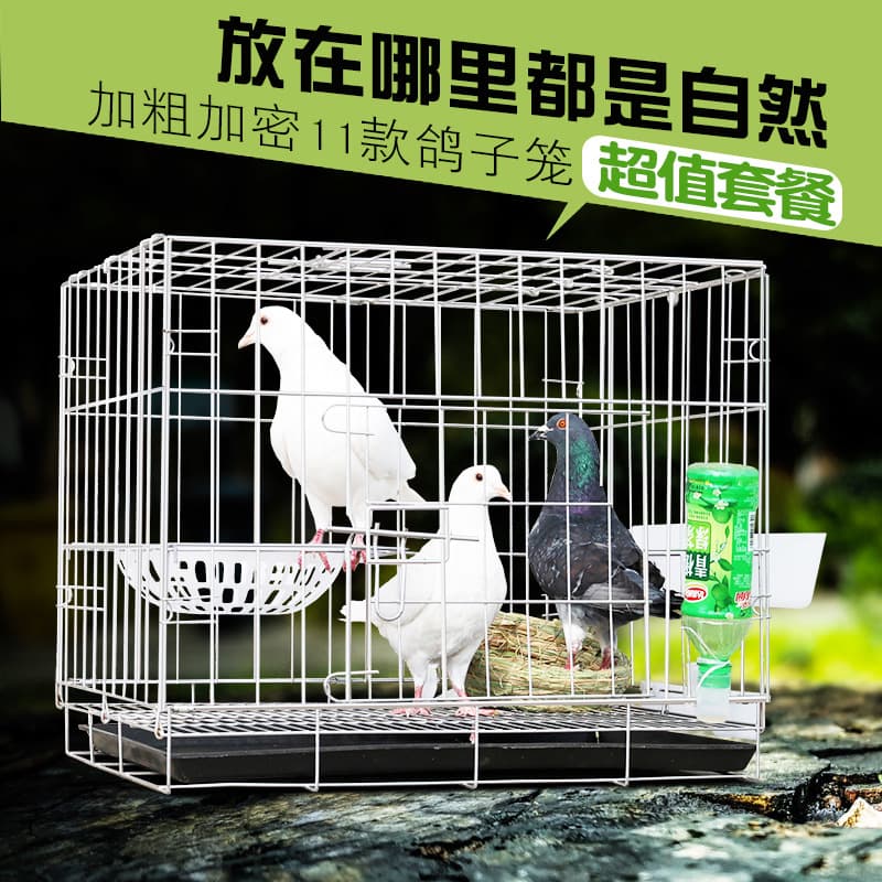 Pigeon Cage Breeding Pair Cage Home Pigeon Cage Foldable Reinforced Cage Transport Cage Drop Shipping Available
