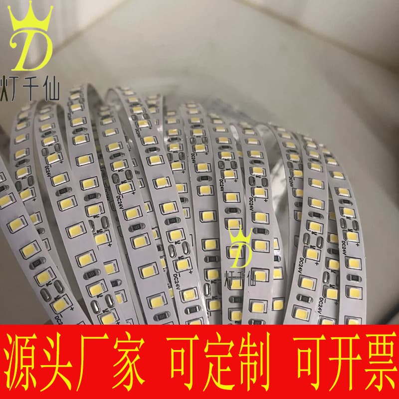 20-Meter No Voltage Drop 24V 2835-120 LEDs Single Row Indoor/Outdoor LED Lighting Strips