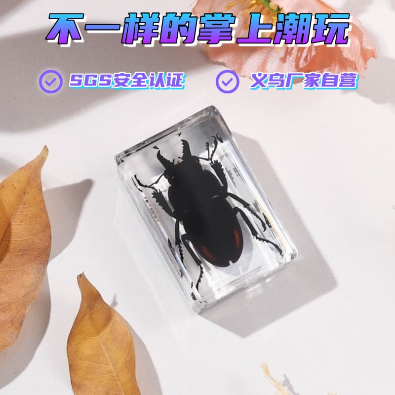 Zhenfang Craft Factory Direct Sales Insect Specimens Blind Box Series for Primary to High School Education Science