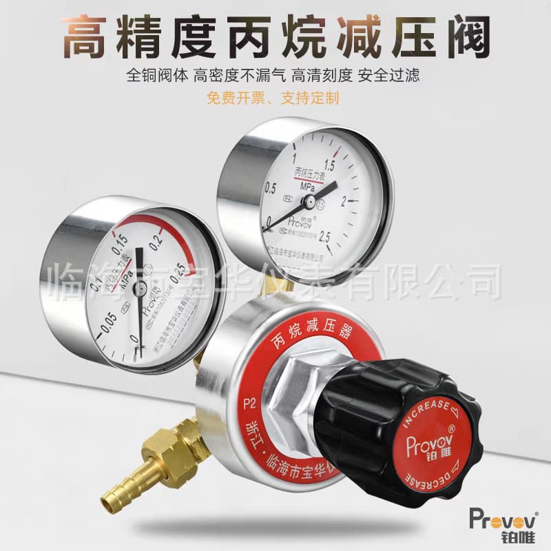 Platinum Propane Gas Cylinder Pressure Reducing Valve Yqw-213 All-Copper Gas Pressure Reducing Valve 0.25*2.5 Pressure Gauge Double Head