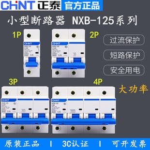 CHINT Kunlun NXB-125 High Current 1P 2P 3P 4P Miniature Circuit Breaker MCB 63A 80A 100A 125A