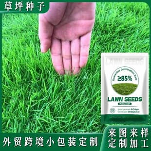 Cross-Border Trade Lawn Grass Seeds, Four-Season Evergreen, Cold and Drought Tolerant, Slope Protection, Courtyard Grass Seeds, Small Package Wholesale