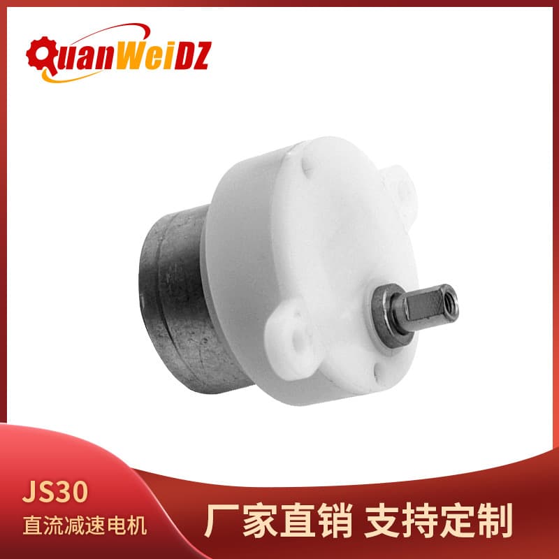 Js30 Miniature DC Geared Motor Low Speed Fan Head Shaking Cloud Platform Motor Electric Control Forward Reverse Rotation