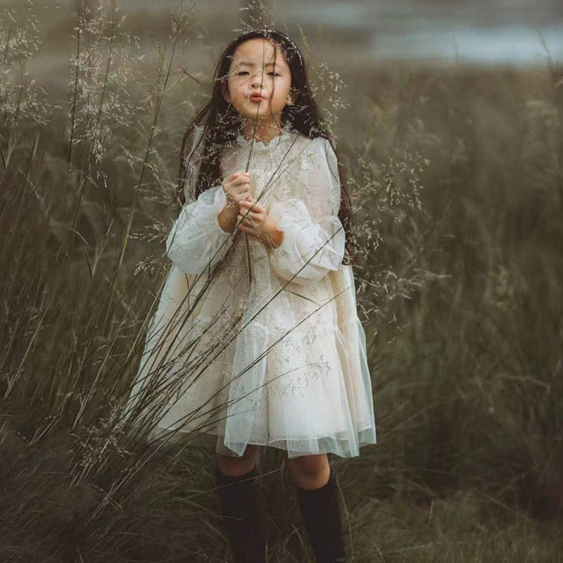 Girls' Korean style spring and autumn mesh champagne bronzing performance one-year-old dress princess dress flower girl Korean style dress