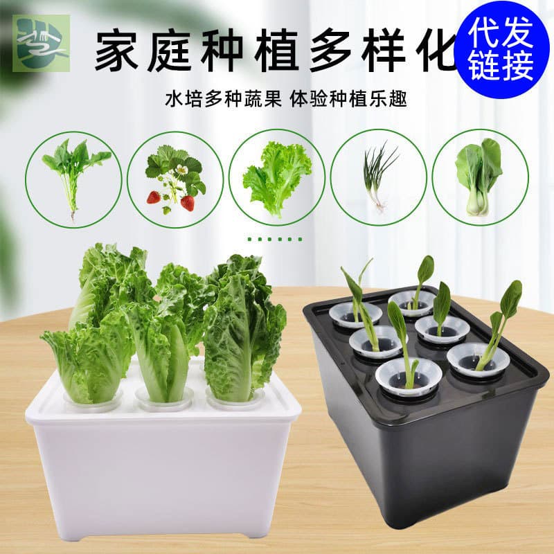 Hydroponic Planting Special Box, Home Cultivation, Diverse Sunlight Hydroponic Containers, Indoor Pollution-Free Hydroponic Planting
