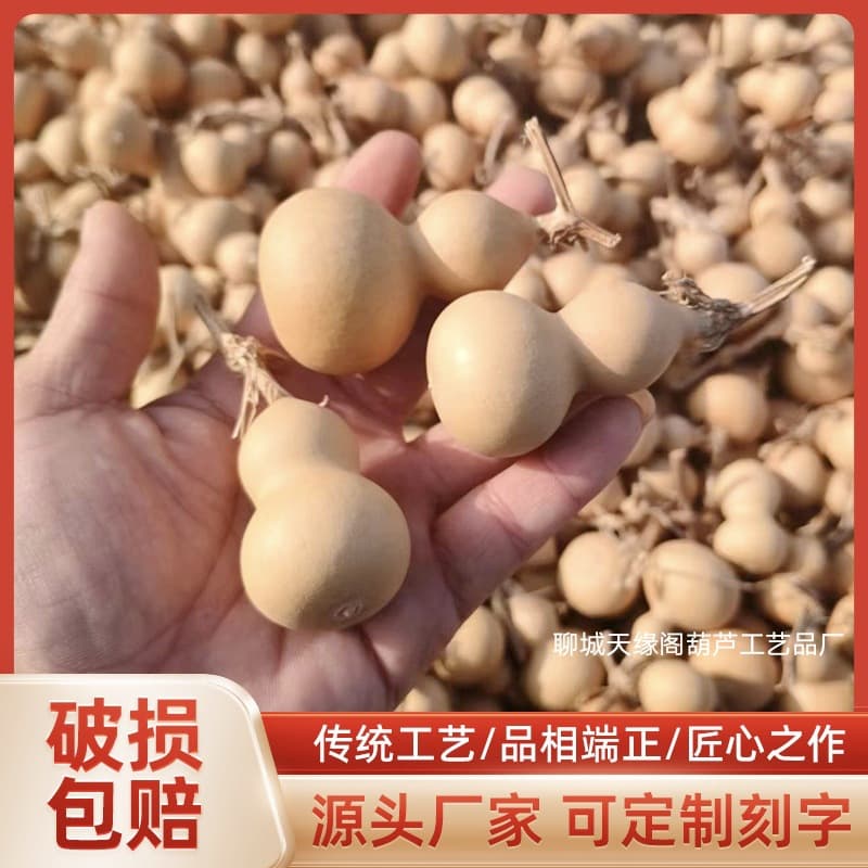 American hand-twisted gourds, natural gourds for play, trinkets, displays, pendants, manufacturer's stall novelties, home use