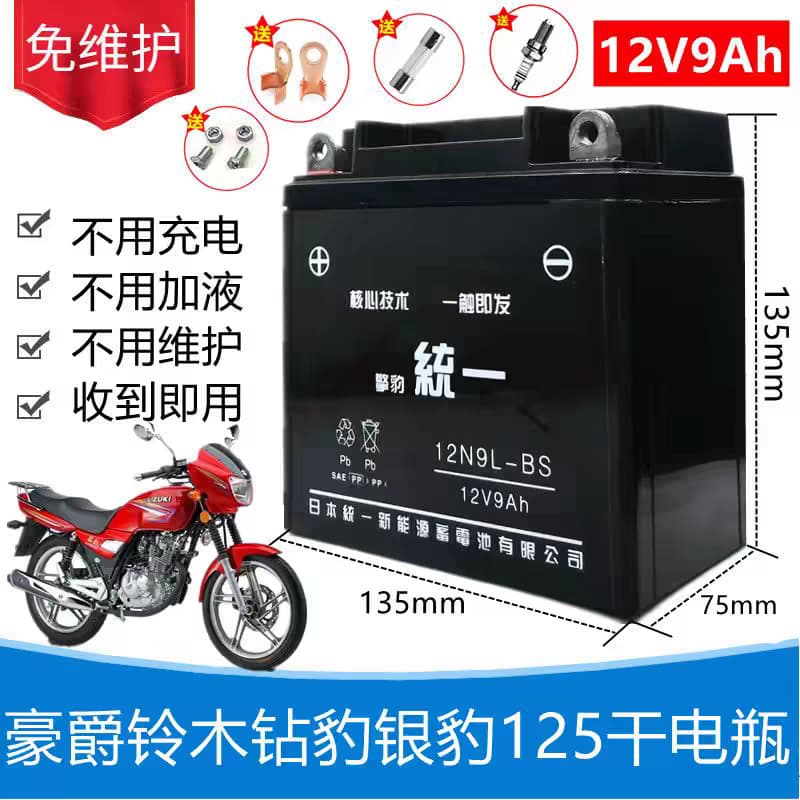 Haojue Suzuki GN Prince HJ125-8 Men's Motorcycle Maintenance-Free Battery 12V 9A Dry Battery
