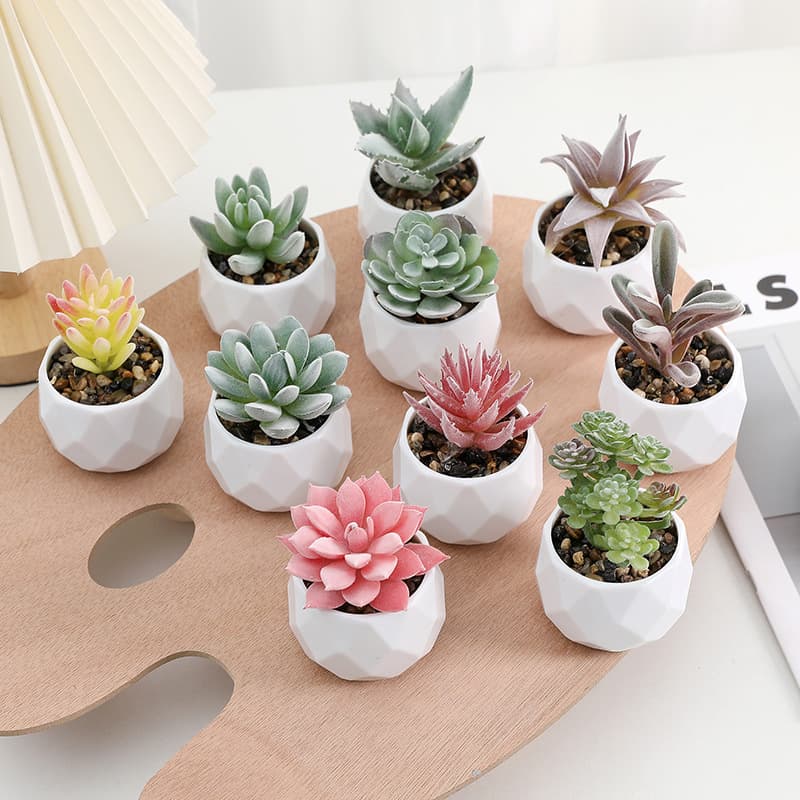 Simulated Succulent Potted Plants Wholesale, Diamond Pot Succulent Plants Mixed Batch Factory Direct Sales, Office Green Plant Ornaments