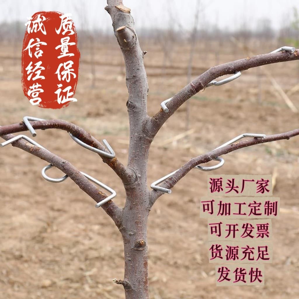 Fruit Tree Branch Puller SM Type Branch Spreader Apple Cherry Tree Angle Opener Branch Bender Orchard Special Bonsai Seedling
