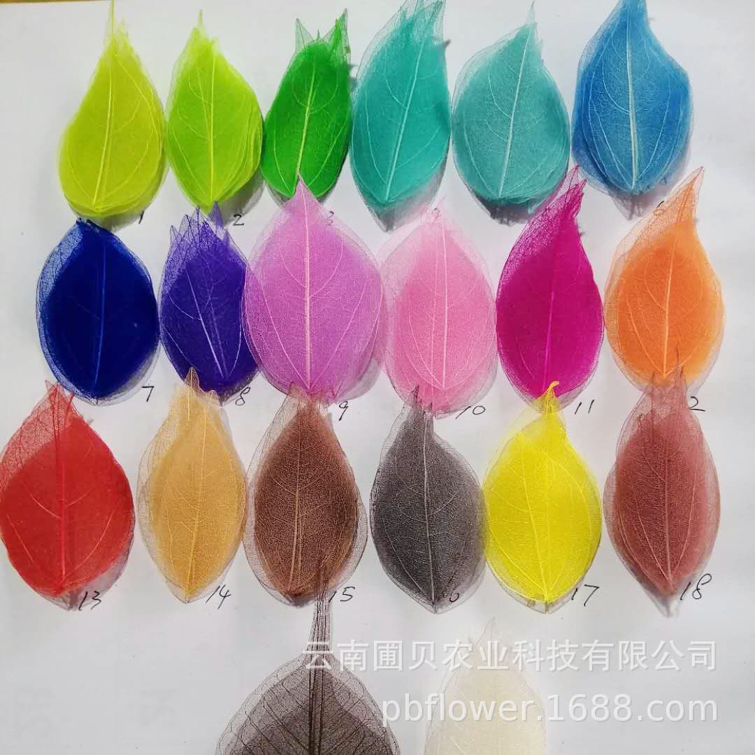 Florist Handmade Pressed Flower Floating Bottle DIY Dried Flower Materials, Preserved Golden Leaf in Stock, Multicolor Vein Dried Flower Handcraft