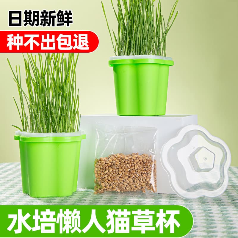 Pet Cat Grass Planting Cup - Soilless Hydroponic Catnip Cat Grass Cup, Planting Tray, Cat Grass Seed Planting Box