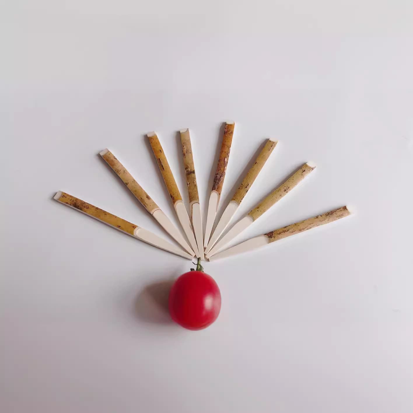 Black-character wooden skewers for meatball dishes, eco-friendly disposable flat bamboo/wooden skewers for culinary use