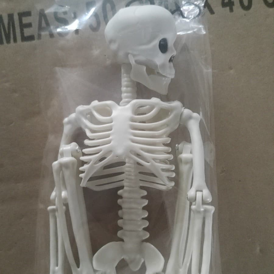 Cross-border Dropshipping Skeleton Adjustable Joints Halloween Horror Decoration Pumpkin Human Skeleton 40 90cm Skeleton