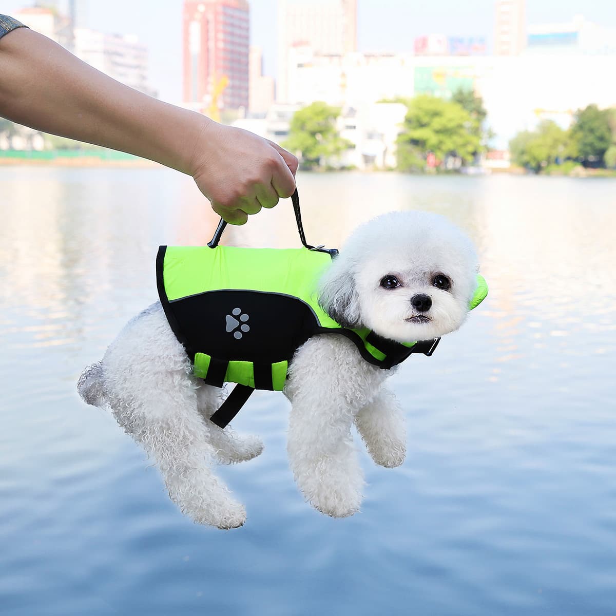 Cross-Border Pet Supplies, New Dog Clothes, Traction-Able Portable Life Jackets, Outdoor Swimming Training Pet Clothes